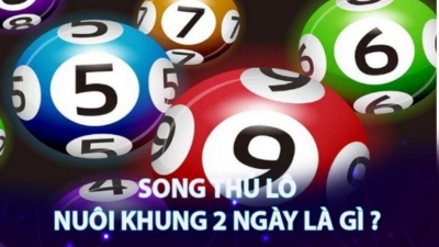 Song thủ lô nuôi khung 2 ngày - Cuộc phiêu lưu của trí tuệ và niềm tin vào may mắn