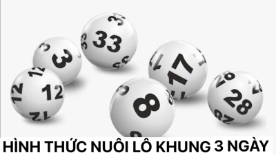 Nuôi lô khung 3 ngày tuyệt đối chính xác 100% cho cược thủ lô đề