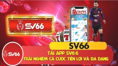 Sv666 - Nhà cái hàng đầu với đa dạng sảnh cá cược chất lượng