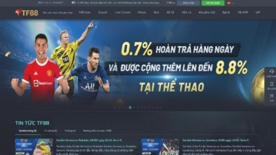 TF88 – Nhà cái uy tín hàng đầu trong thị trường cá cược online