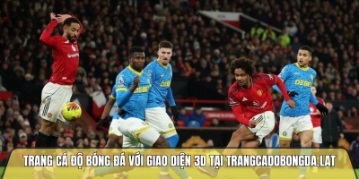 Trang cá độ bóng đá với giao diện 3D tại trangcadobongda.lat